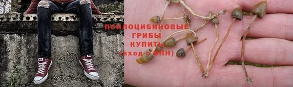 mix Абаза