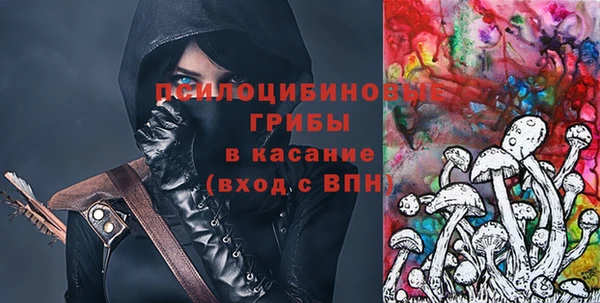 молекула духа Алексеевка