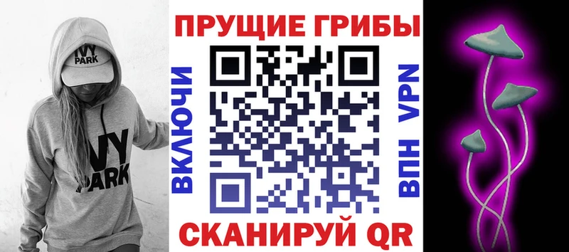 блэк спрут как войти  наркошоп  Болхов  Галлюциногенные грибы GOLDEN TEACHER 
